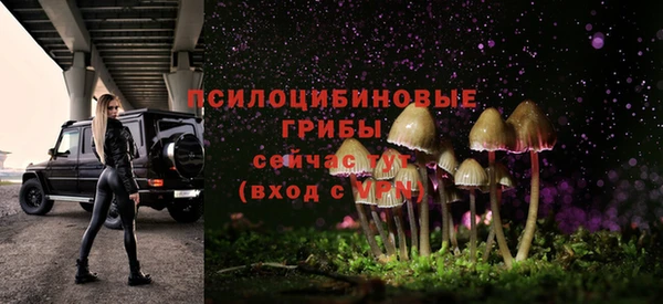 а пвп мука Аркадак