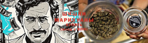 дмт Арсеньев